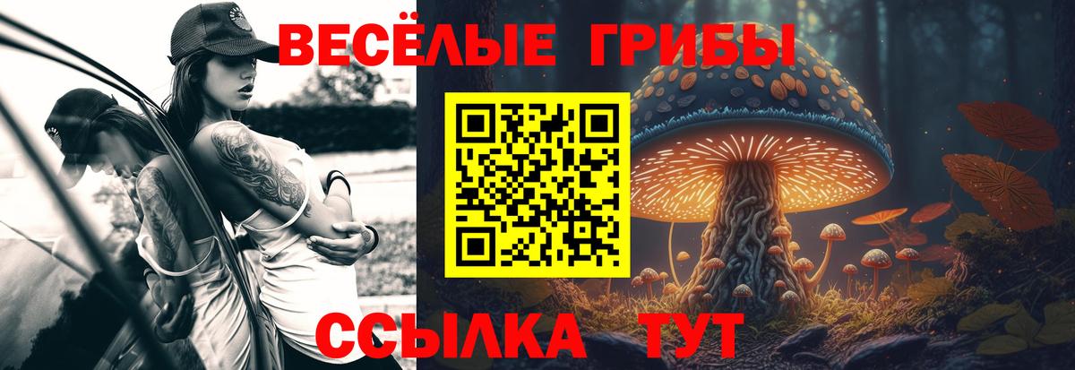 Галлюциногенные грибы MAGIC MUSHROOMS  Вход с VPN  Кировск 